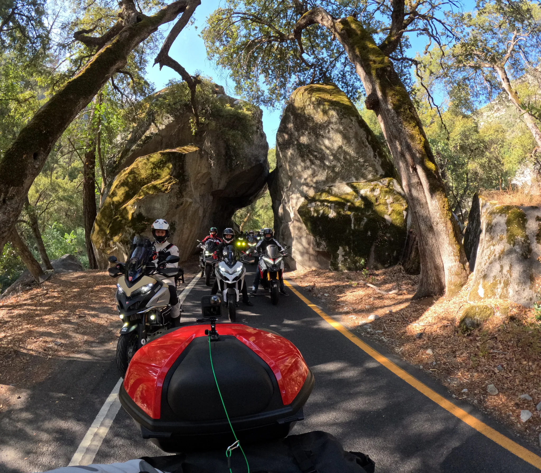 View over a loaded Ducati's red top box toward five DROC riders on Multistradas stopped on a narrow road between mossy granite boulders and oak trees.