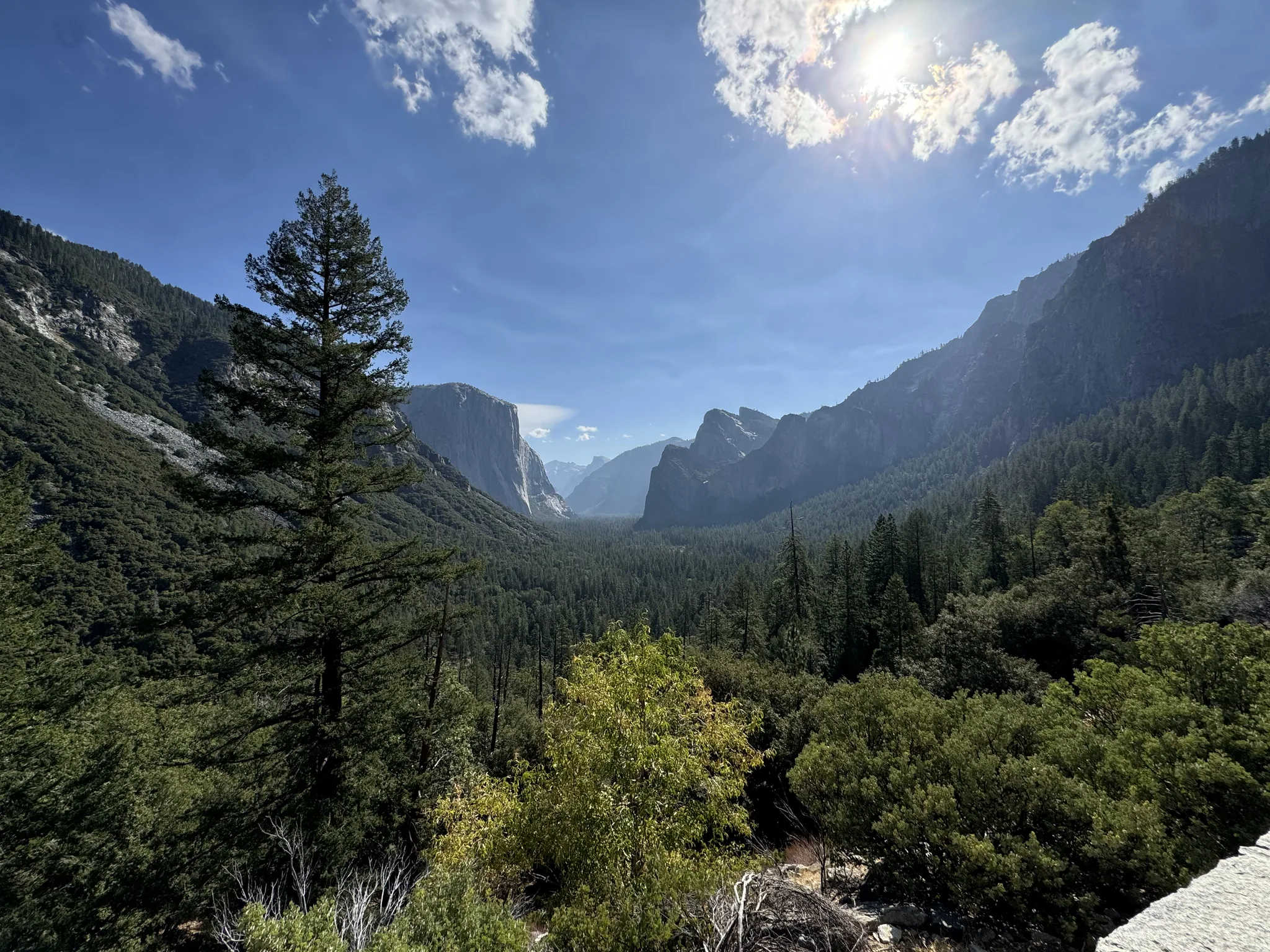 Yosemite Valley seen from Tunnel View, with El Capitan on the left, forested slopes below and Half Dome in the far distance.