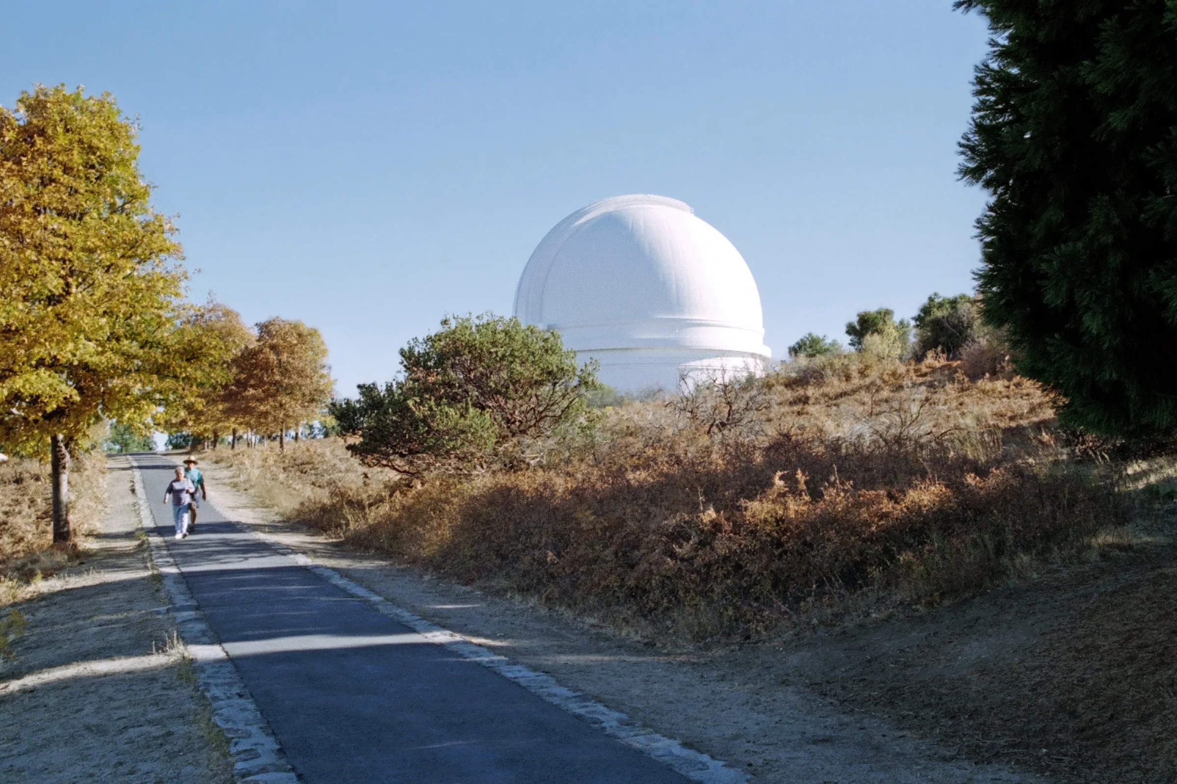 The white dome of Palomar Observatory rising above dry brush and pines on Palomar Mountain, with a footpath leading toward it