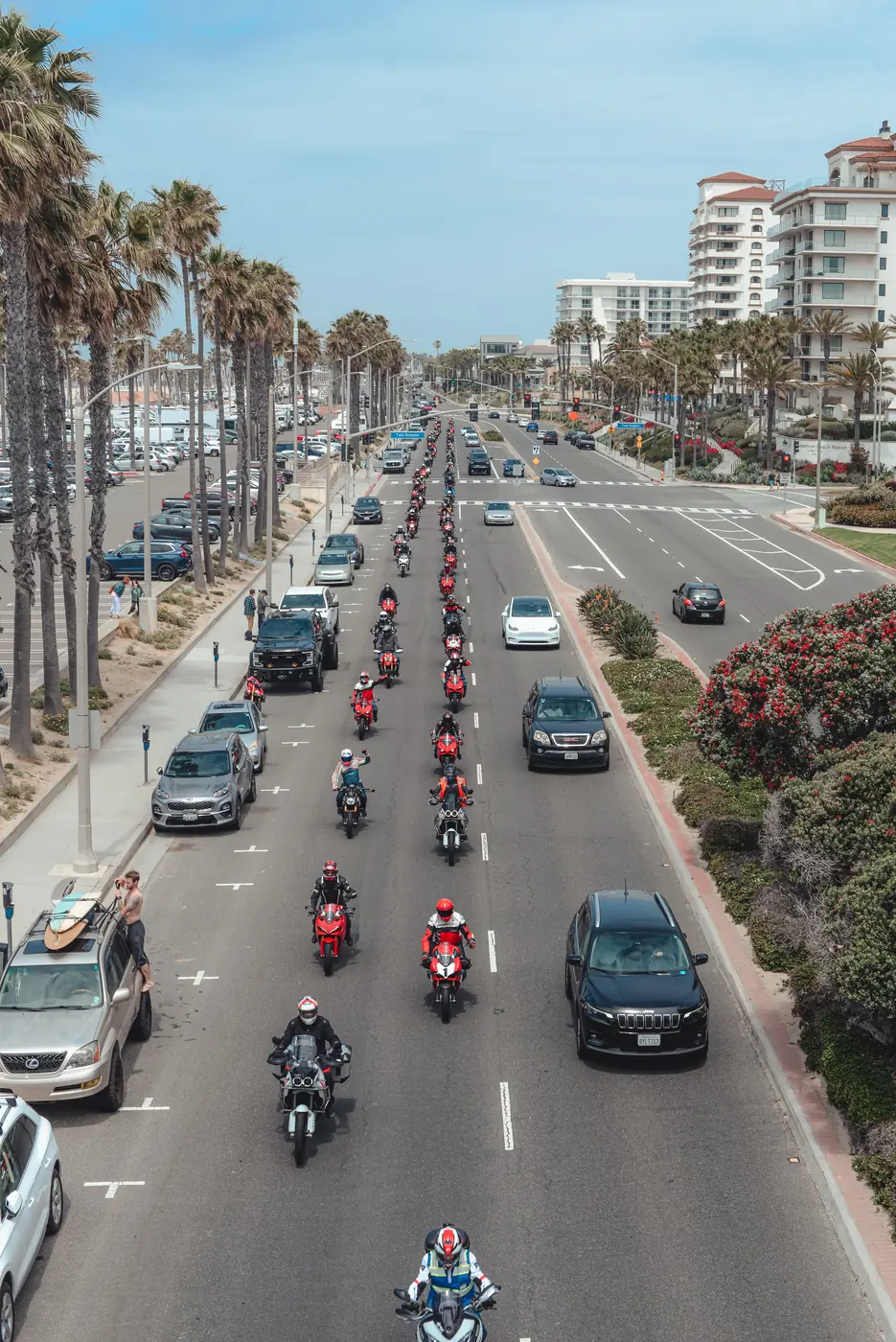 Long line of Ducatis riding down a palm-lined Los Angeles boulevard during We Ride As One 2024