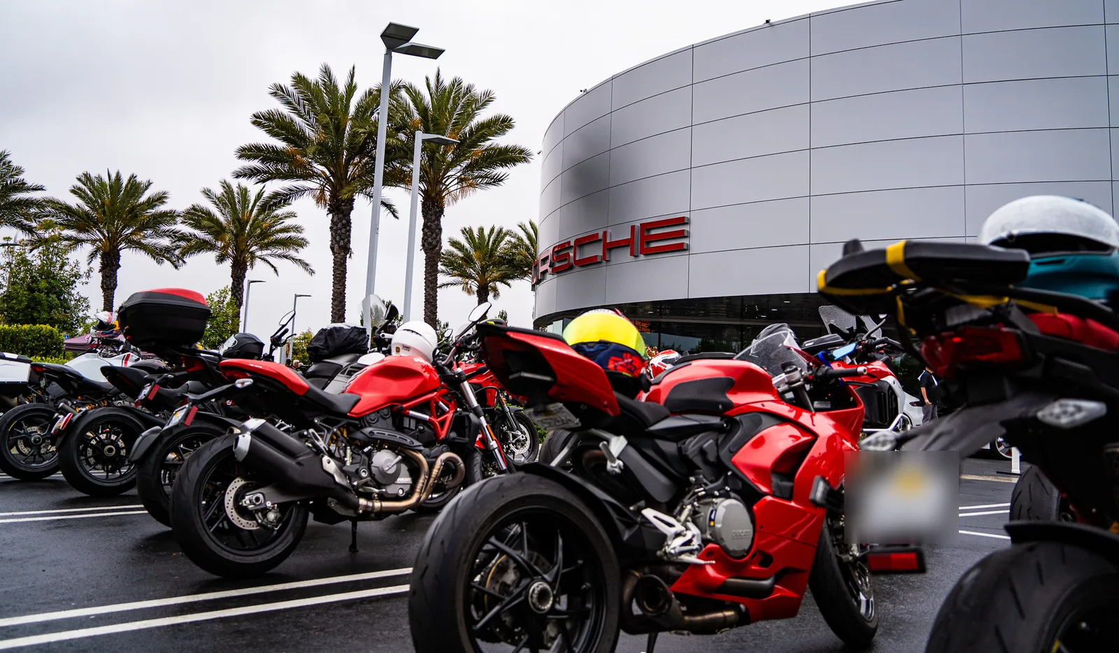 A Panigale V2 and a Monster parked among Ducatis under the palms at Porsche Irvine before We Ride As One 2025