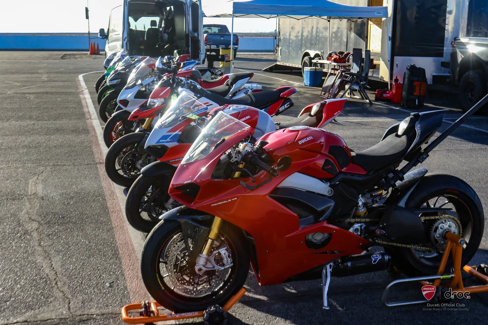 A row of Ducati Panigales on paddock stands in the low sun at Chuckwalla Valley Raceway, March 2025