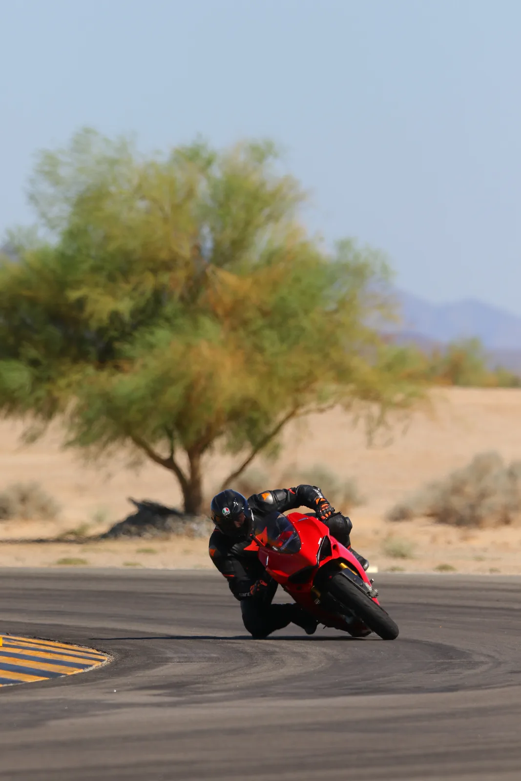 A rider in a black helmet leans a red Ducati Panigale through a corner with a green desert tree behind at Chuckwalla Valley Raceway, September 2023